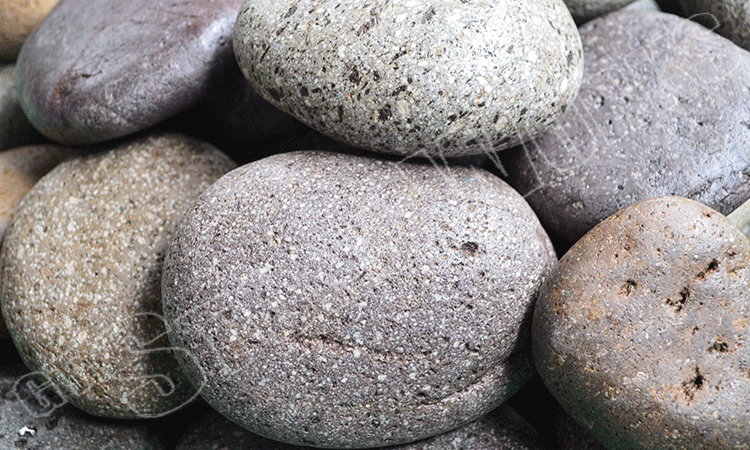 Tiger Baltic 50-80mm